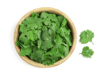 Bowl with fresh green coriander leaves on white background, top view