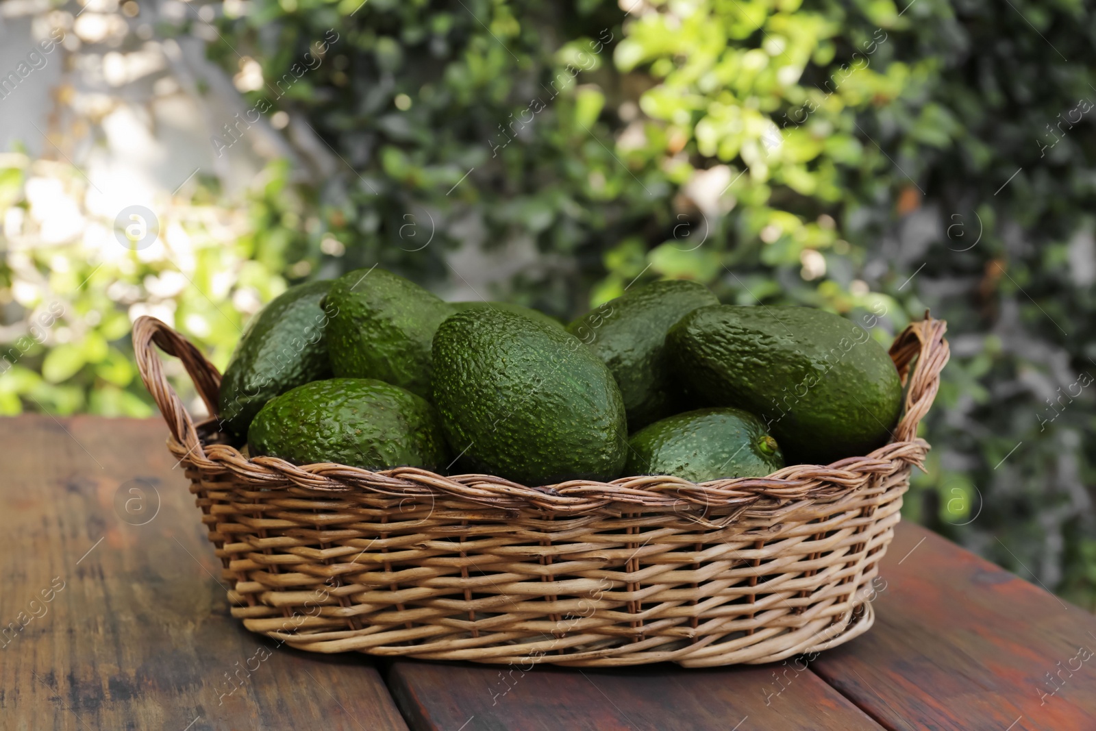 Photo of Wicker basket with fresh ripe avocados on wooden table outdoors