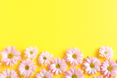 Photo of Beautiful chamomile flowers on color background, flat lay with space for text