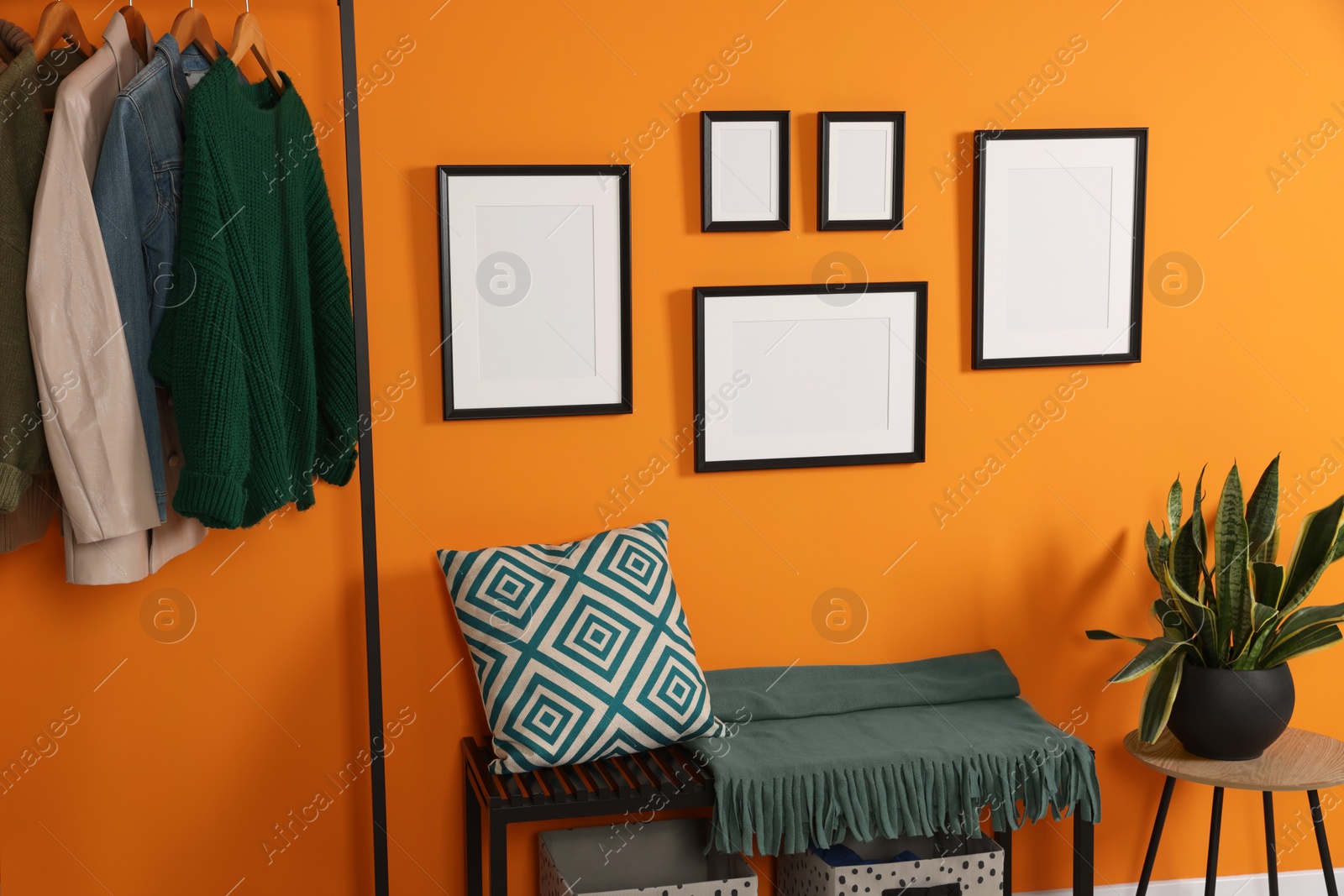 Photo of Empty frames hanging on orange wall in stylish room. Mockup for design