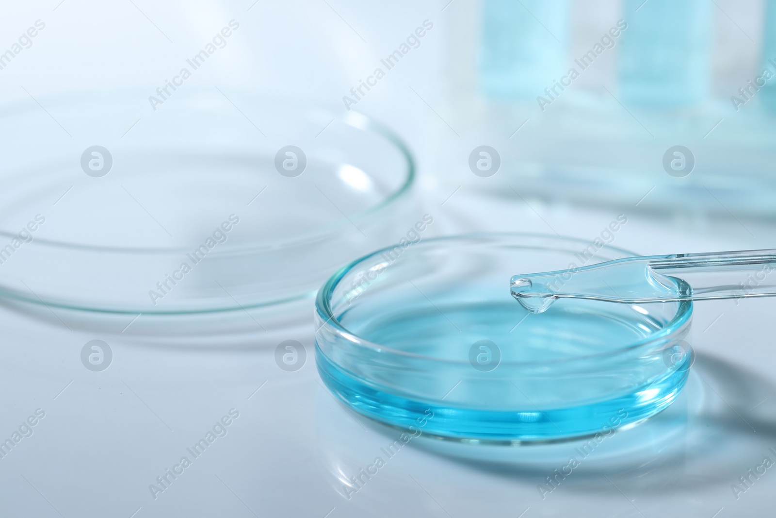 Photo of Dripping liquid from pipette into petri dish at white table, closeup