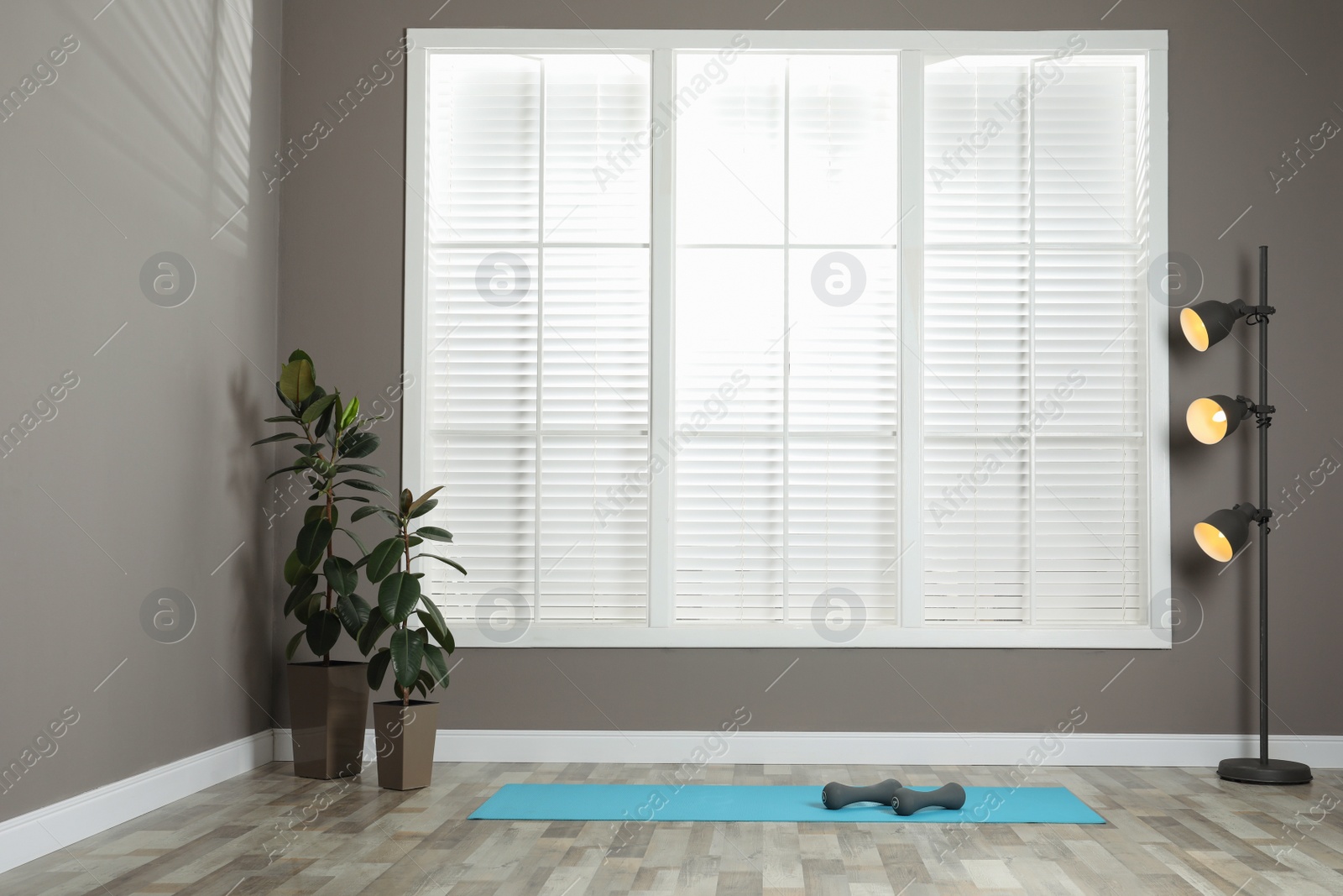 Photo of Exercise mat with dumbbells near floor lamp and houseplants in spacious room