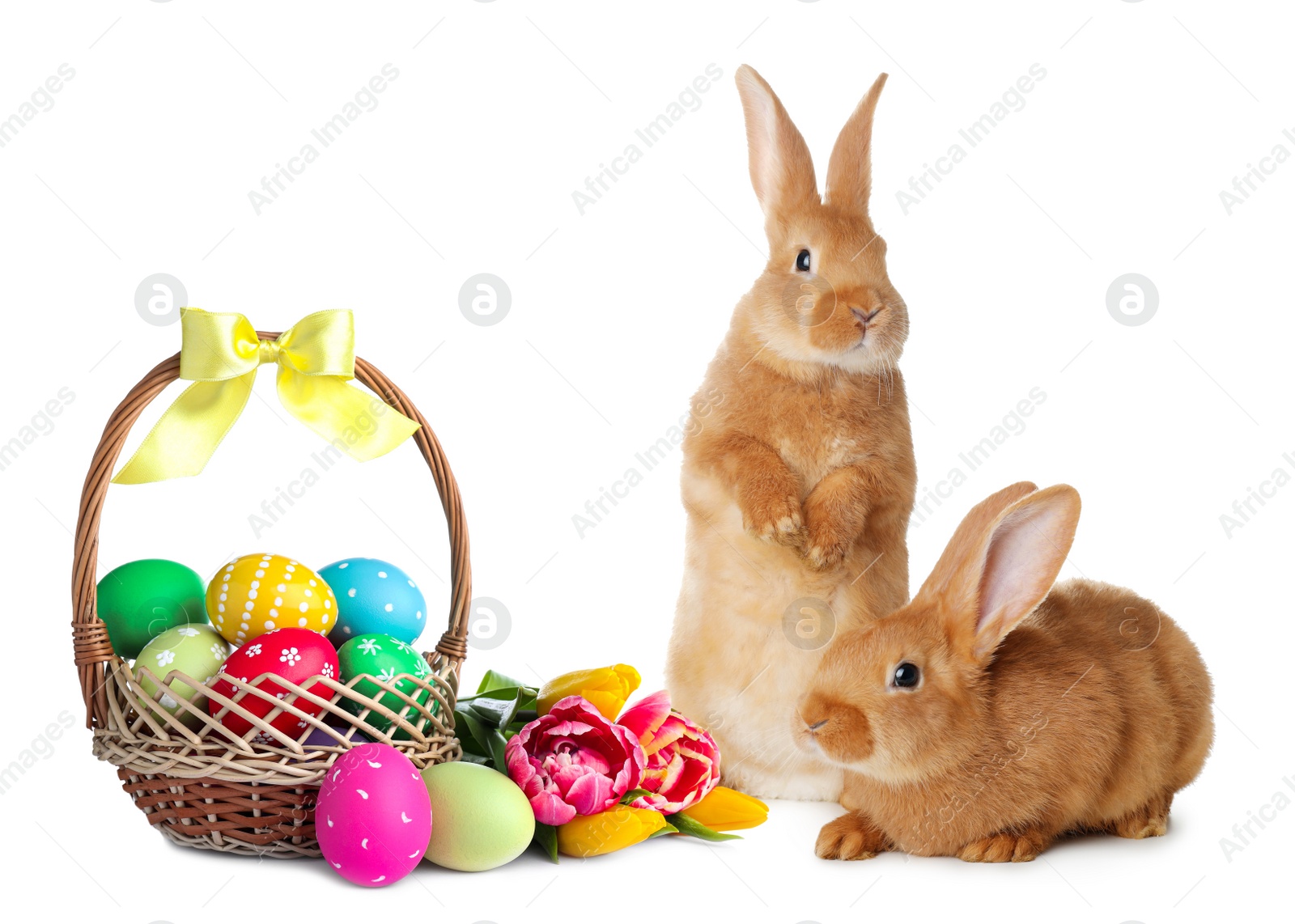 Image of Cute bunnies and wicker basket with bright Easter eggs on white background