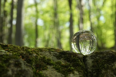 Beautiful green trees outdoors, overturned reflection. Crystal ball on stone with moss in forest