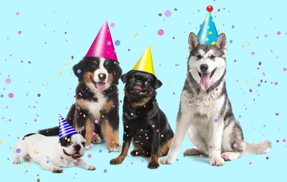 Adorable dogs with party hats on turquoise background