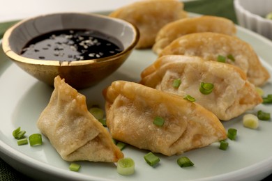 Photo of Delicious gyoza (asian dumplings) with green onions and soy sauce on plate, closeup