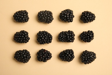 Flat lay composition with ripe blackberries on color background