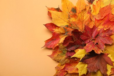 Photo of Autumn season. Colorful maple leaves on pale orange background, top view with space for text