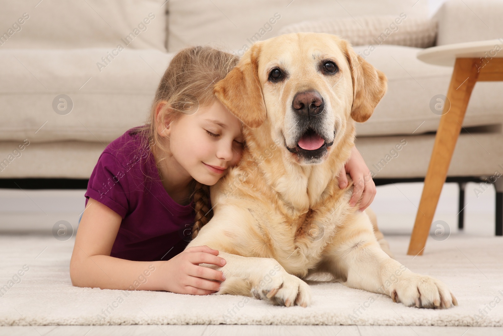 Photo of Young girl with her adorable dog on floor at home