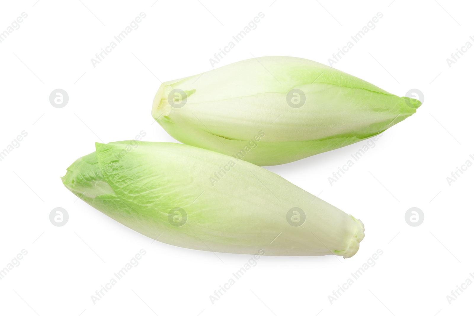 Photo of Raw ripe chicories on white background, top view