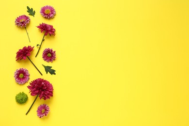 Photo of Beautiful chrysanthemums with leaves on yellow background, flat lay. Space for text