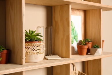 Wooden shelves with different decorative elements on beige wall,