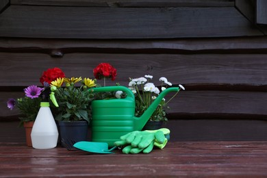 Beautiful blooming flowers, gloves and gardening tools on wooden table outdoors, space for text