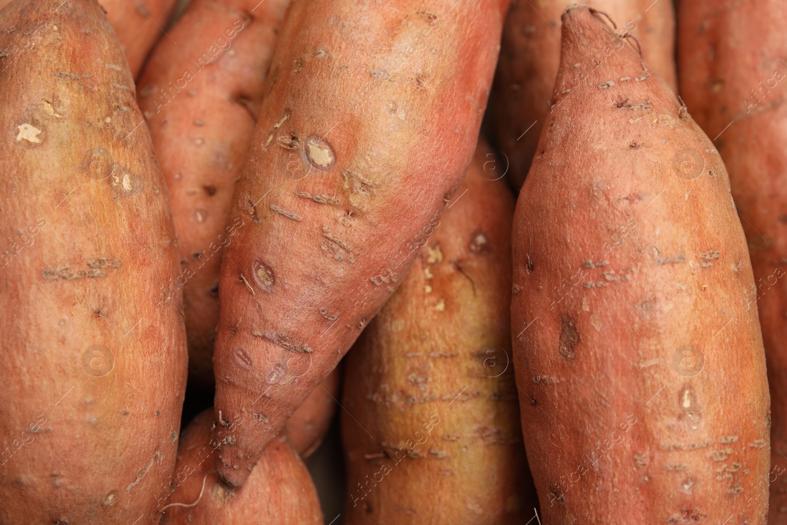 Photo of Whole ripe sweet potatoes as background, top view