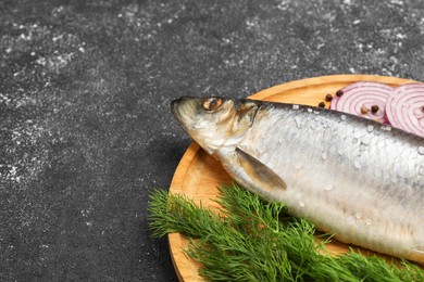 Photo of Delicious salted herring, dill and onion on dark grey table, space for text