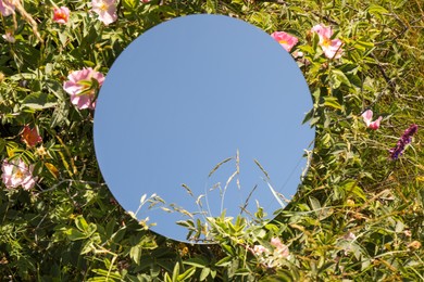 Photo of Spring atmosphere. Round mirror among grass and flowers on sunny day