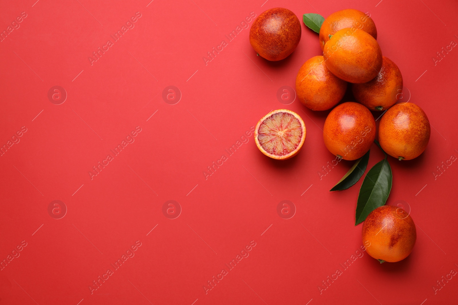 Photo of Many ripe sicilian oranges and leaves on red background, flat lay. Space for text