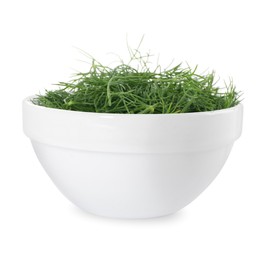 Photo of Bowl of fresh dill isolated on white