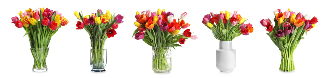 Set with beautiful tulip flowers on white background. Banner design