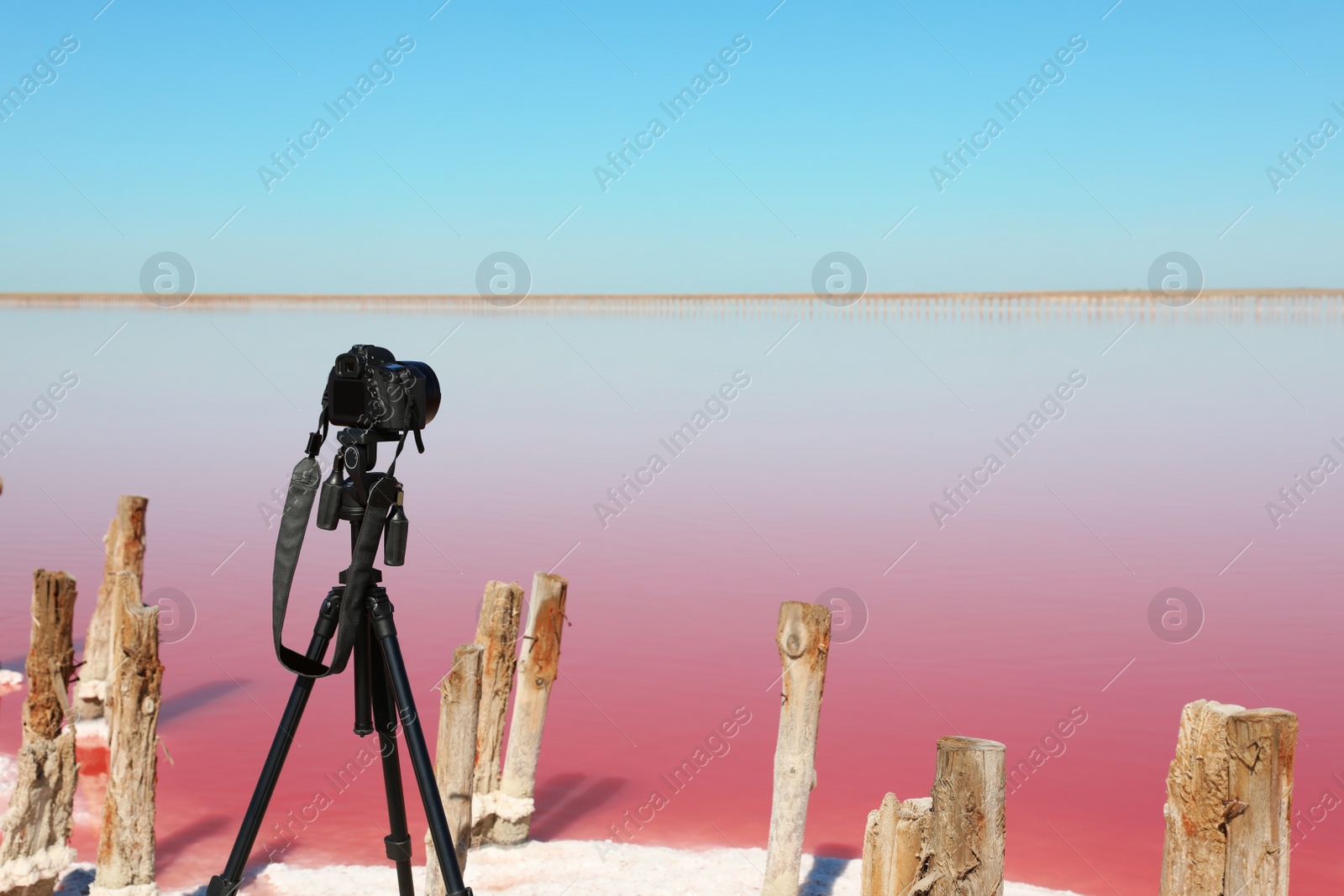 Photo of Professional camera with tripod near pink lake