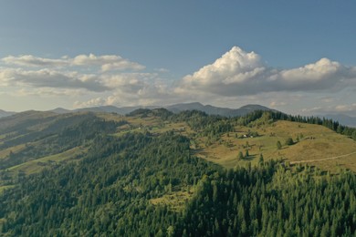 Aerial view of beautiful mountain landscape with forest on sunny day