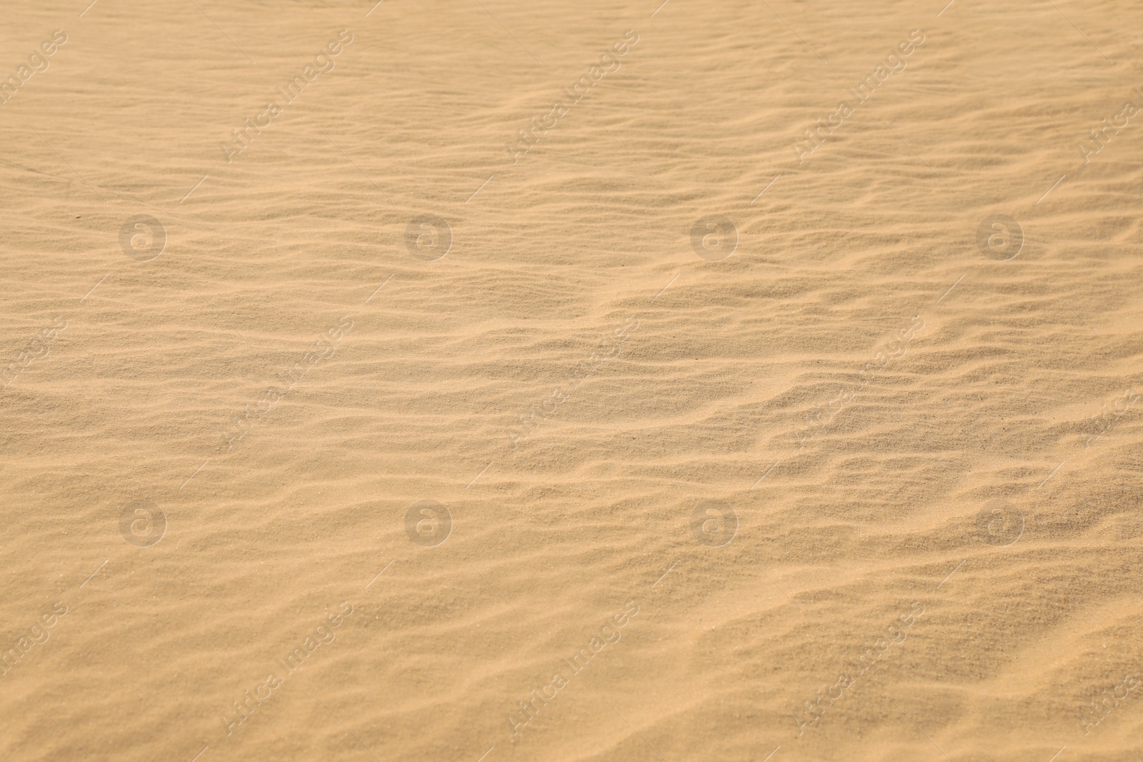 Photo of Beautiful view of rippled sandy surface in desert as background