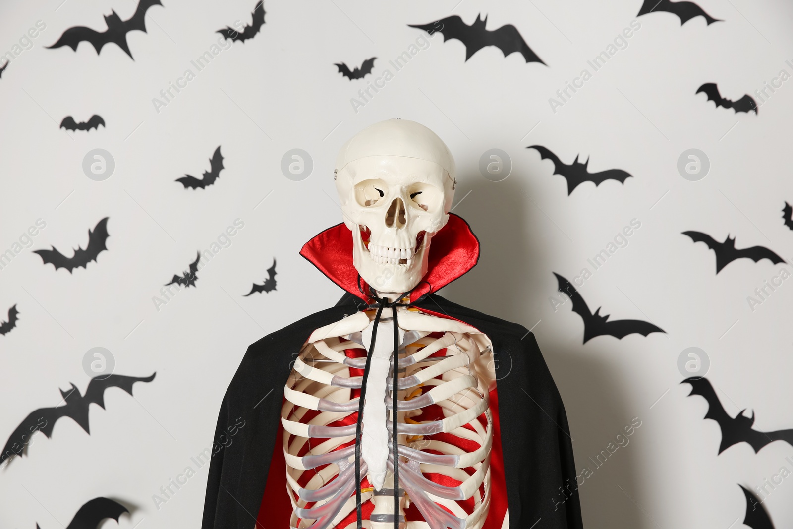 Photo of Skeleton in cloak and paper bats on light wall