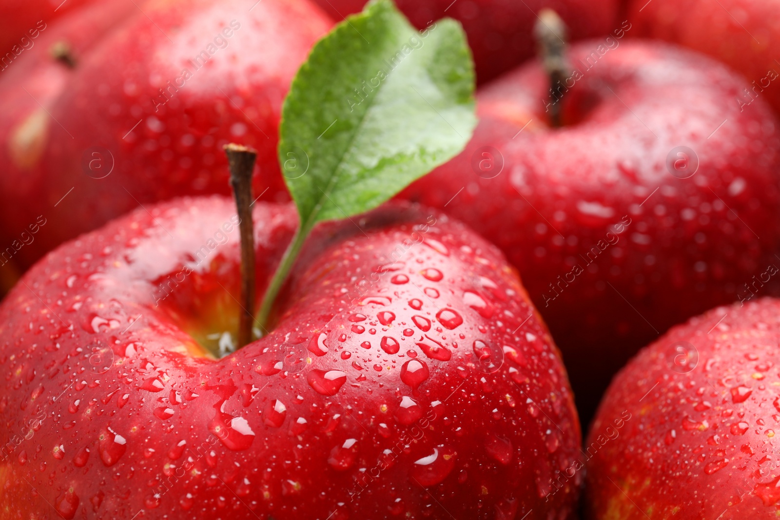 Photo of Delicious ripe red apples with water drops as background, closeup