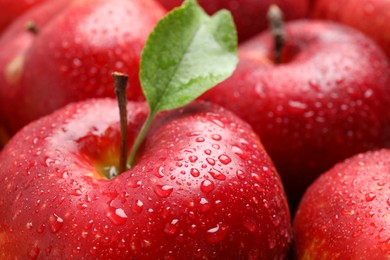 Photo of Delicious ripe red apples with water drops as background, closeup