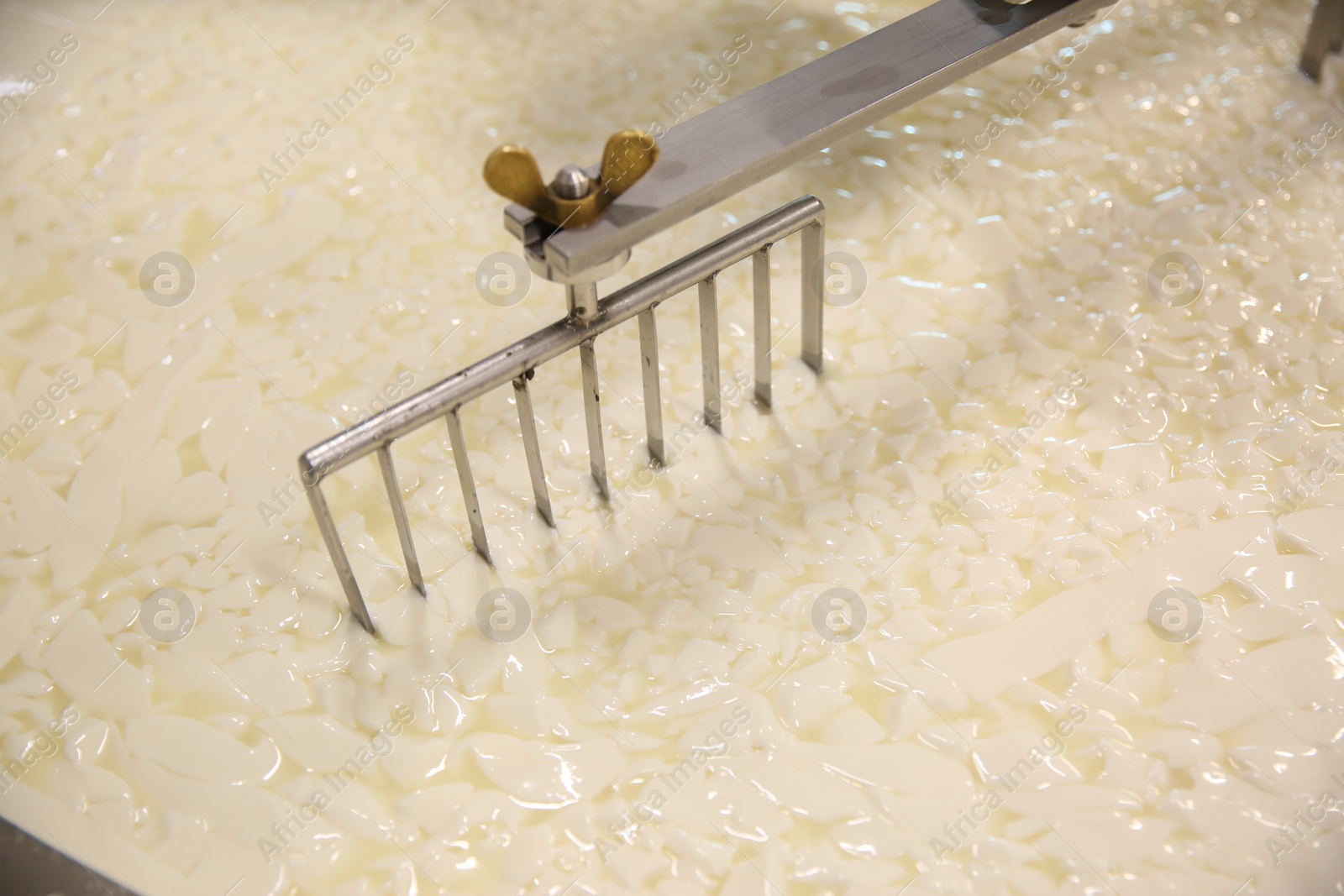 Photo of Curd and whey in tank at cheese factory, closeup