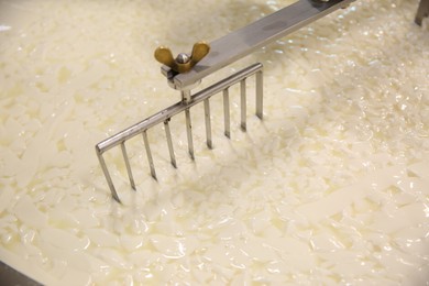 Curd and whey in tank at cheese factory, closeup