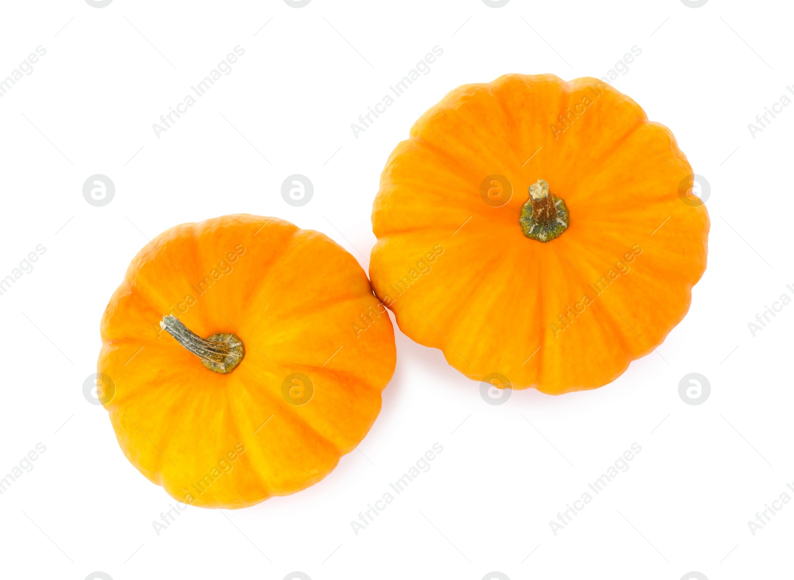 Photo of Fresh ripe pumpkins on white background, top view