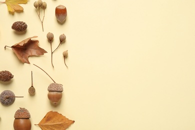 Flat lay composition with autumn leaves on beige background. Space for text