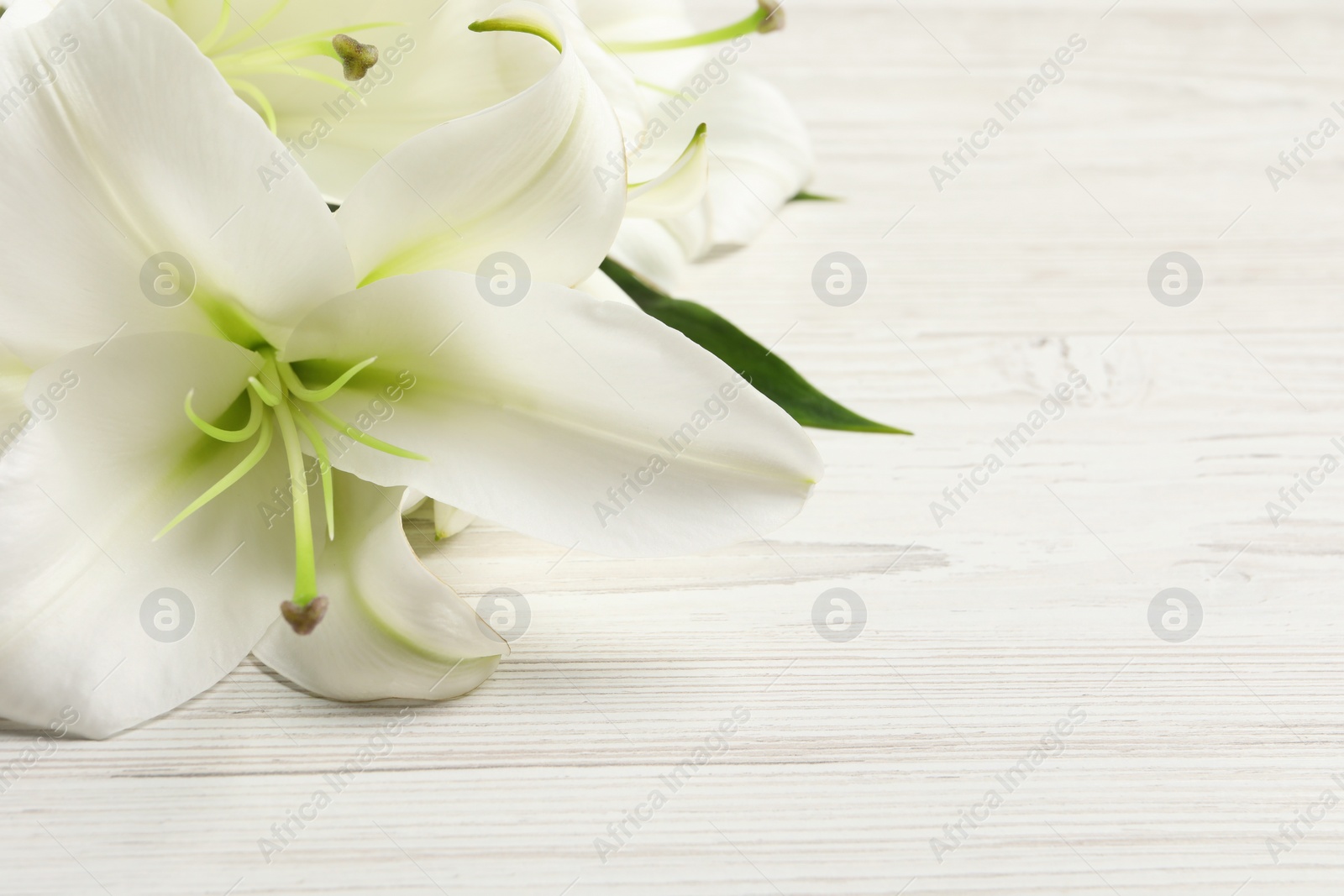 Photo of Beautiful lily flowers on white wooden table, closeup. Space for text