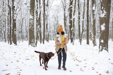 Woman walking with adorable Labrador Retriever dog in snowy park