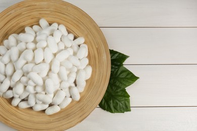 Silk cocoons with plate and mulberry leaves on white wooden table, flat lay. Space for text