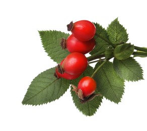 Photo of Ripe rose hip berries with green leaves on white background