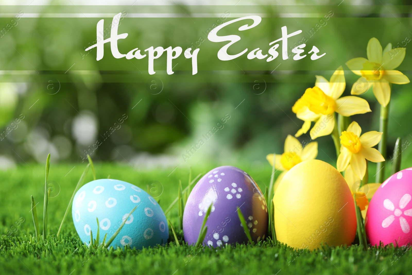 Image of Colorful eggs with daffodil flowers in green grass and text Happy Easter on blurred background