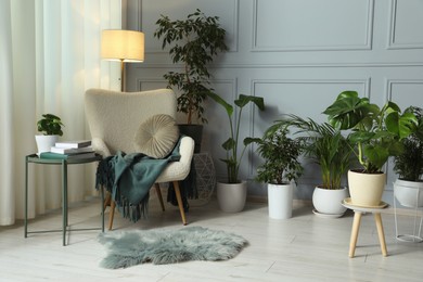 Many potted houseplants near cozy armchair in stylish room