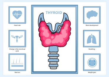 Illustration of  thyroid gland and different icons showing its affect on human organs on white background. Medical poster