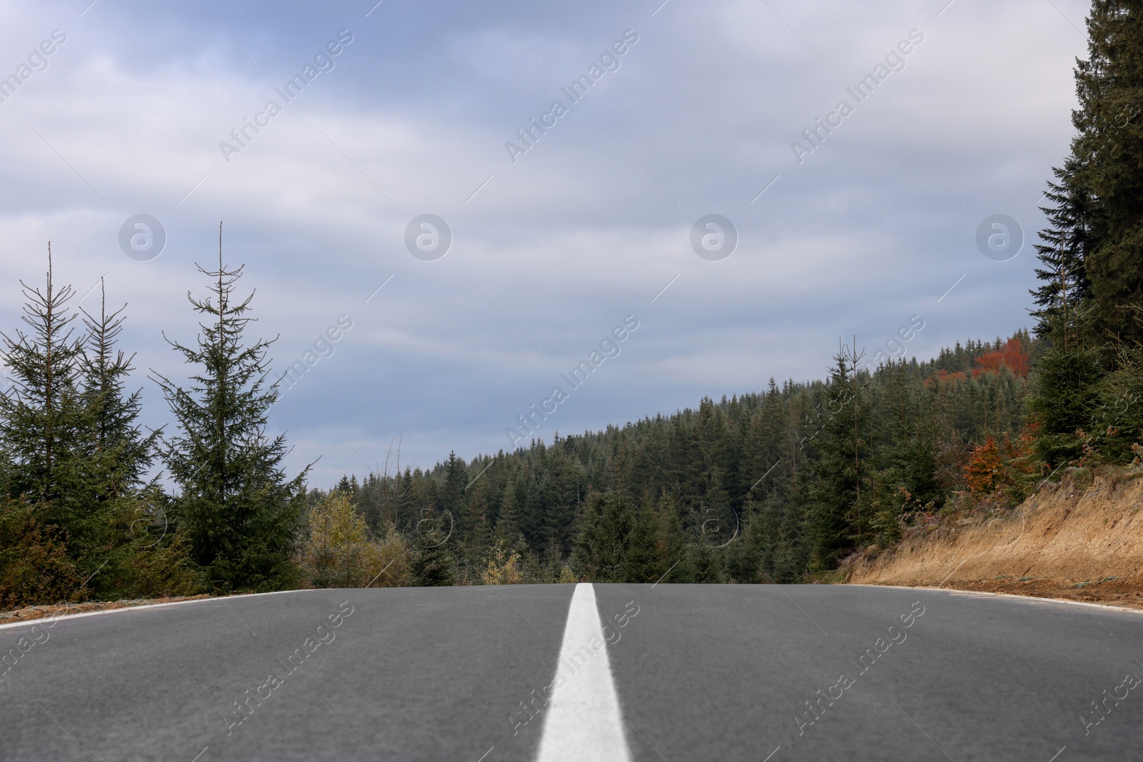 Photo of Beautiful view of asphalt highway without transport near coniferous forest. Autumn season