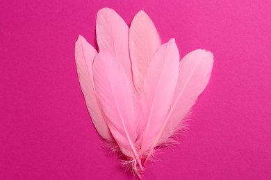 Photo of Beautiful feathers on pink background, top view
