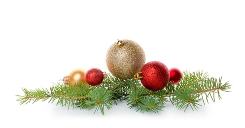 Photo of Composition with Christmas tree branch and festive decor on white background