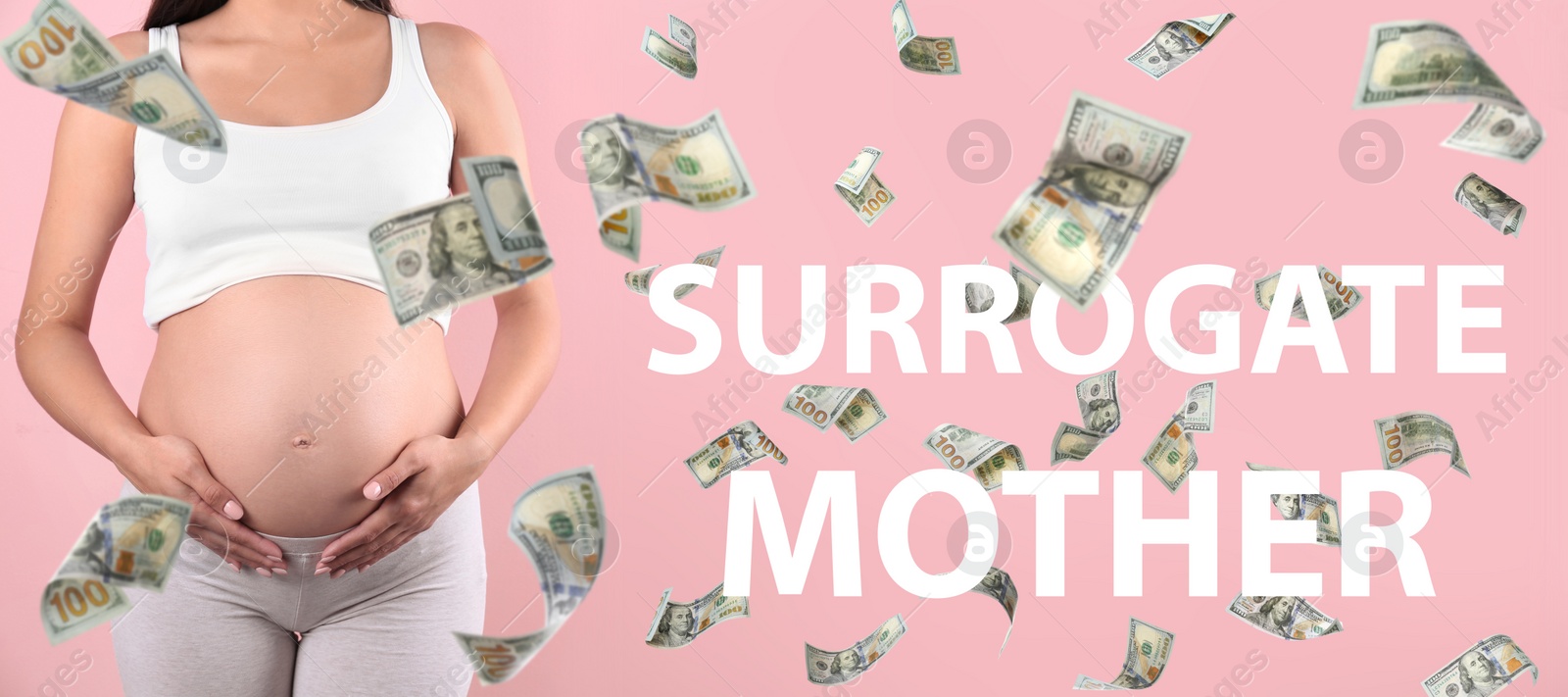 Image of Surrogacy concept. Closeup view of young pregnant woman and flying money on pink background, banner design