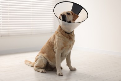 Cute Labrador Retriever with protective cone collar on floor indoors