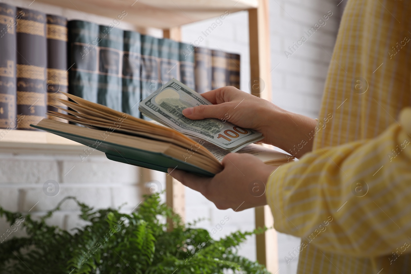 Photo of Woman hiding dollar banknotes in book indoors, closeup. Money savings