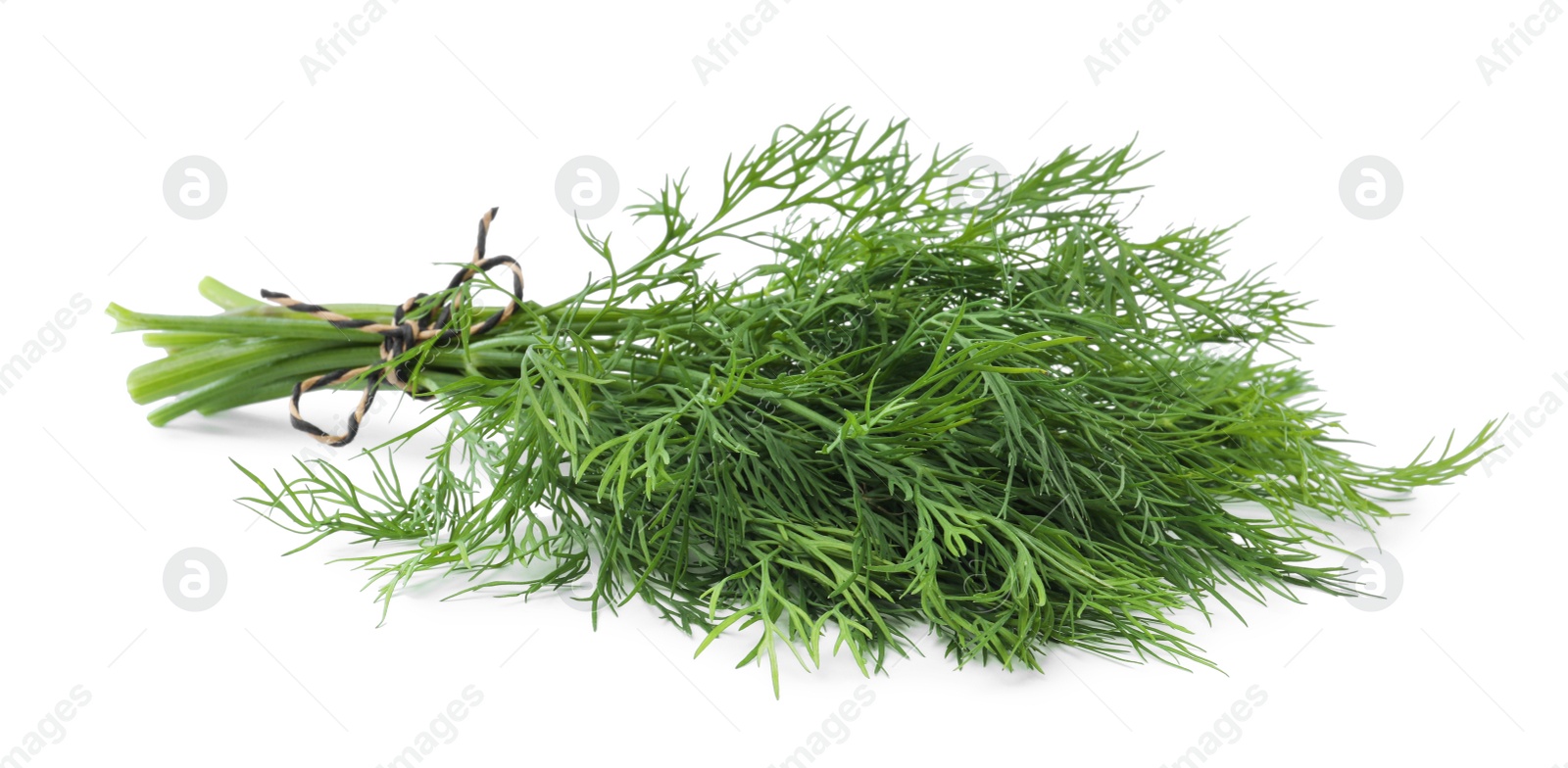 Photo of Bunch of fresh dill isolated on white