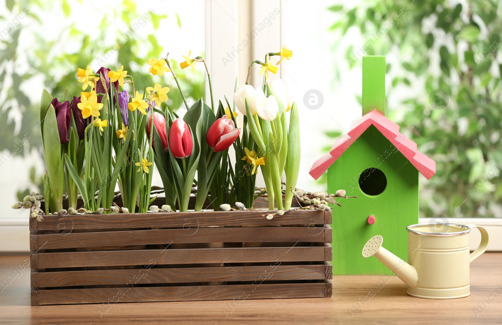 Photo of Beautiful spring flowers in wooden crate with watering can and birdhouse on window sill