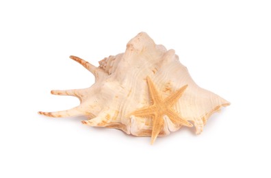 Photo of Beautiful sea star (starfish) and seashell isolated on white