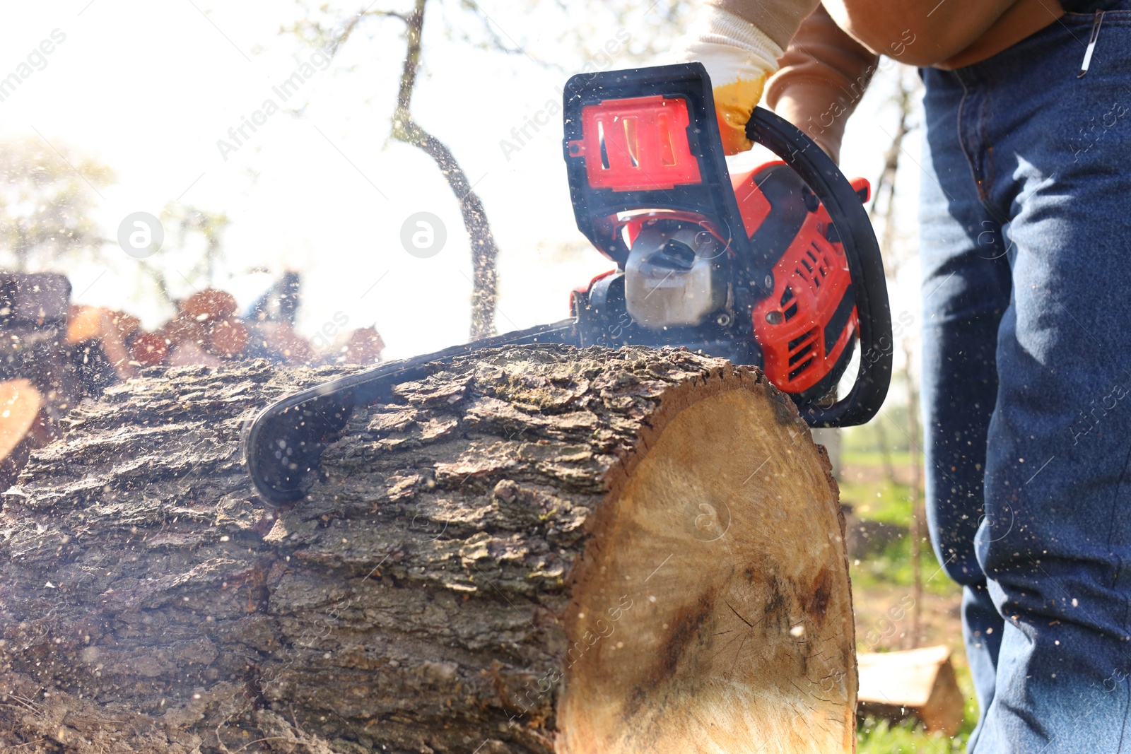 Photo of Man sawing wooden log on sunny day, closeup